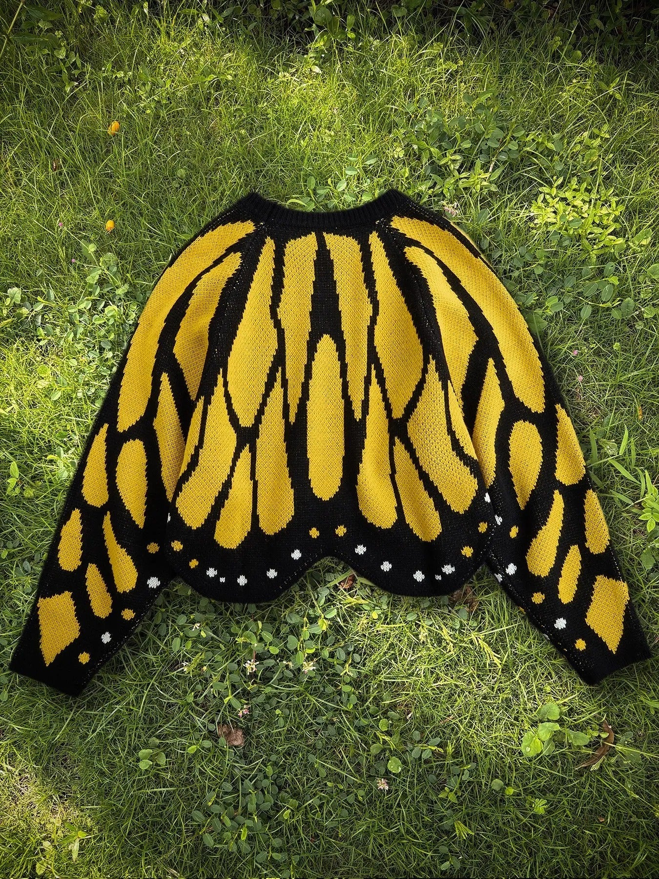 Women's Butterfly Print Knit Pullover Long Sleeve Sweater